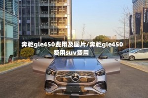 奔驰gle450费用及图片/奔驰gle450费用suv费用