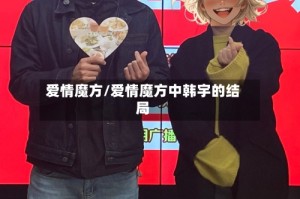 爱情魔方/爱情魔方中韩宇的结局