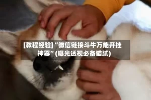 [教程经验]“微信链接斗牛万能开挂神器”(曝光透视必备猫腻)