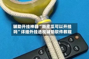 辅助开挂神器“新密瓜可以开挂吗”详细外挂透视辅助软件教程