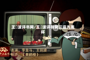 王玥波评书网/王玥波评书网三盗九龙杯