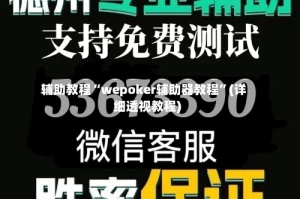 辅助教程“wepoker辅助器教程”(详细透视教程)