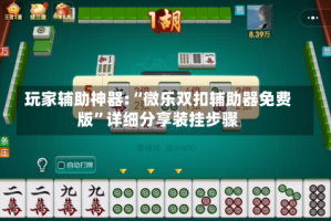 玩家辅助神器:“微乐双扣辅助器免费版”详细分享装挂步骤