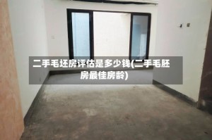 二手毛坯房评估是多少钱(二手毛胚房最佳房龄)