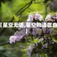 【星空无语,星空物语歌曲】
