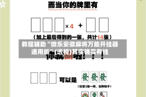 教程辅助“微乐安徽麻将万能开挂器通用版”(透视)其实确实有挂