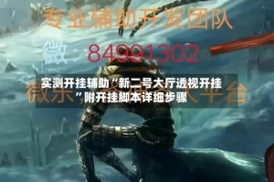 实测开挂辅助“新二号大厅透视开挂”附开挂脚本详细步骤