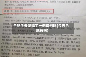 合肥今天发现了一例病例吗(今天合肥有病)