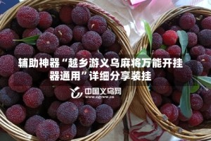 辅助神器“越乡游义乌麻将万能开挂器通用”详细分享装挂