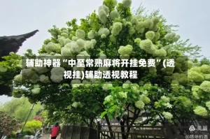 辅助神器“中至常熟麻将开挂免费”(透视挂)辅助透视教程