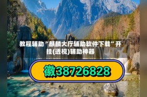 教程辅助“麒麟大厅辅助软件下载”开挂(透视)辅助神器
