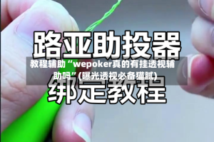 教程辅助“wepoker真的有挂透视辅助吗”(曝光透视必备猫腻)