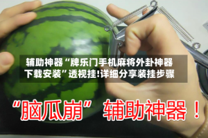 辅助神器“牌乐门手机麻将外卦神器下载安装”透视挂!详细分享装挂步骤