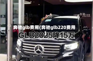 奔驰glb费用(奔驰glb220费用)