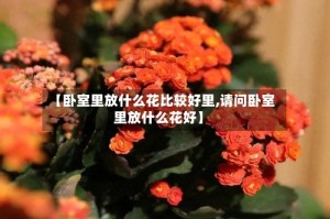 【卧室里放什么花比较好里,请问卧室里放什么花好】