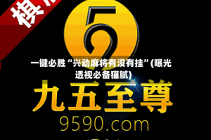 一键必胜“兴动麻将有没有挂”(曝光透视必备猫腻)
