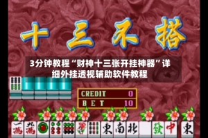 3分钟教程“财神十三张开挂神器”详细外挂透视辅助软件教程