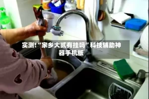 实测!“家乡大贰有挂吗”科技辅助神器手机版