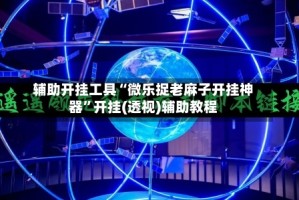 辅助开挂工具“微乐捉老麻子开挂神器”开挂(透视)辅助教程