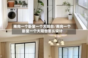 南向一个卧室一个大阳台/南向一个卧室一个大阳台怎么设计