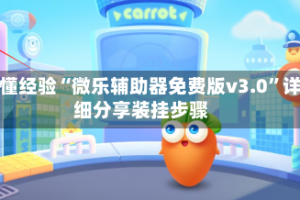 秒懂经验“微乐辅助器免费版v3.0”详细分享装挂步骤