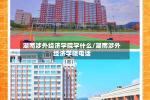 湖南涉外经济学院学什么/湖南涉外经济学院电话