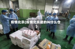 疫情北京(疫情北京建的叫什么仓)