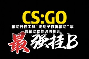 辅助开挂工具“跑胡子作弊辅助”掌握辅助功能必胜规则