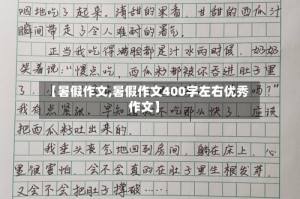 【暑假作文,暑假作文400字左右优秀作文】