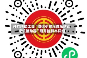 开挂辅助工具“微信小程序微乐陕西挖坑辅助器”附开挂脚本详细