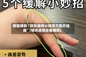 教程辅助“微乐麻将小程序万能开挂器”(曝光透视必备猫腻)