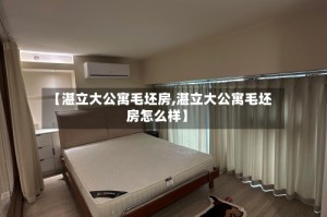 【湛立大公寓毛坯房,湛立大公寓毛坯房怎么样】