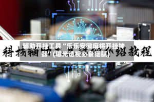 辅助开挂工具“乐乐安徽麻将开挂神器”(曝光透视必备猫腻)