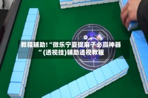 教程辅助!“微乐宁夏捉麻子必赢神器”(透视挂)辅助透视教程