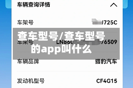 查车型号/查车型号的app叫什么