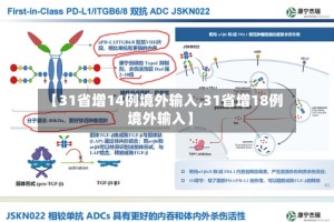 【31省增14例境外输入,31省增18例境外输入】