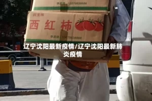 辽宁沈阳最新疫情/辽宁沈阳最新肺炎疫情
