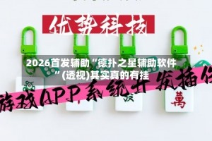 2026首发辅助“德扑之星辅助软件”(透视)其实真的有挂