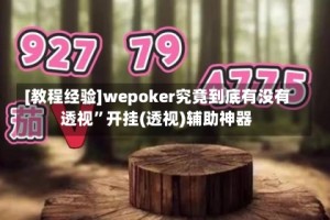 [教程经验]wepoker究竟到底有没有透视”开挂(透视)辅助神器