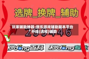 玩家辅助神器:微乐游戏辅助脚本平台”开挂(透视)辅助