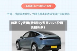特斯拉y费用(特斯拉y费用2025价目表最新款)