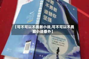 【可不可以不勇敢小说,可不可以不勇敢小说番外】