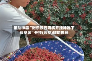 辅助神器“微乐陕西麻将开挂神器下载安装”开挂(透视)辅助神器