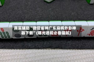 真实辅助“微信雀神广东麻将外卦神器下载”(曝光透视必备猫腻)
