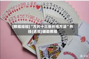 [教程经验]“方片十三张开挂方法”开挂(透视)辅助教程