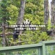 【已知唯一野生白色熊猫确认为雄性,全世界唯一白色大熊猫】