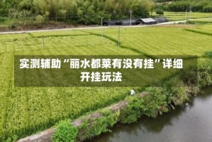 实测辅助“丽水都莱有没有挂”详细开挂玩法