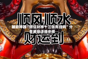 辅助神器“微信财神十三张有挂吗”分享装挂详细步骤