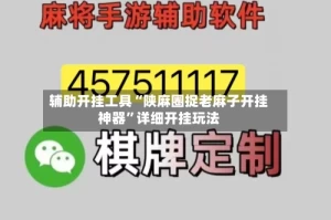 辅助开挂工具“陕麻圈捉老麻子开挂神器”详细开挂玩法