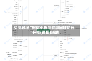 实测教程“微信小程序赣牌圈辅助器”开挂(透视)辅助